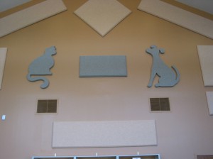 Acoustic panels in Animal Hospital